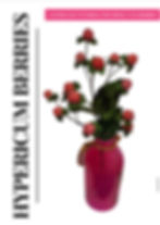Miniatura: Edition 3: March 2022 - The Spring Issue