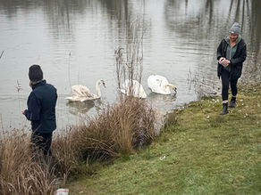 A New Chapter for Our 2025 Cygnets