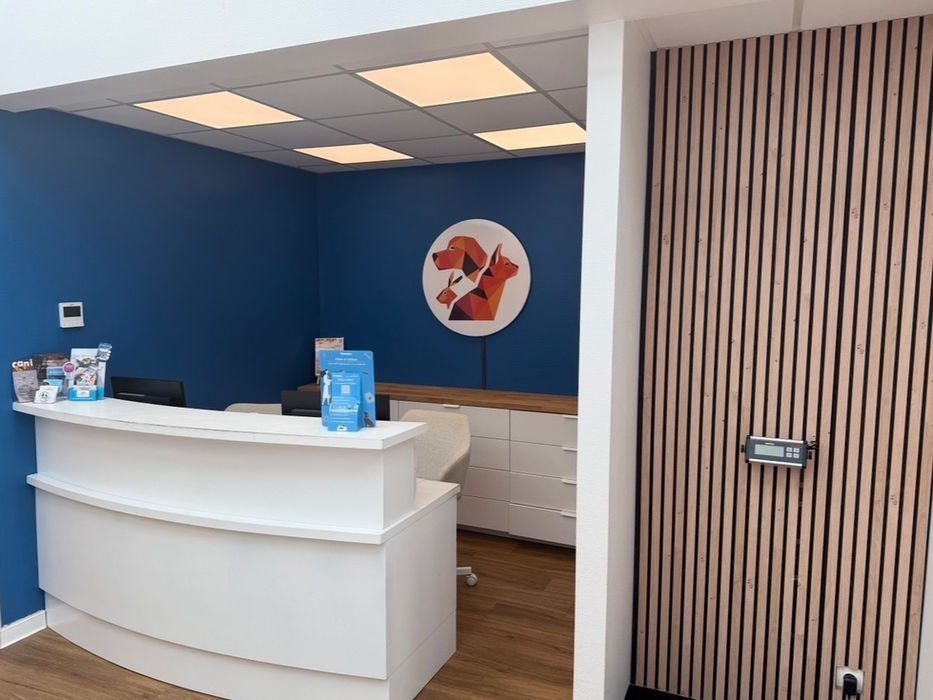 Accueil clinique vétérinaire Nexane 88