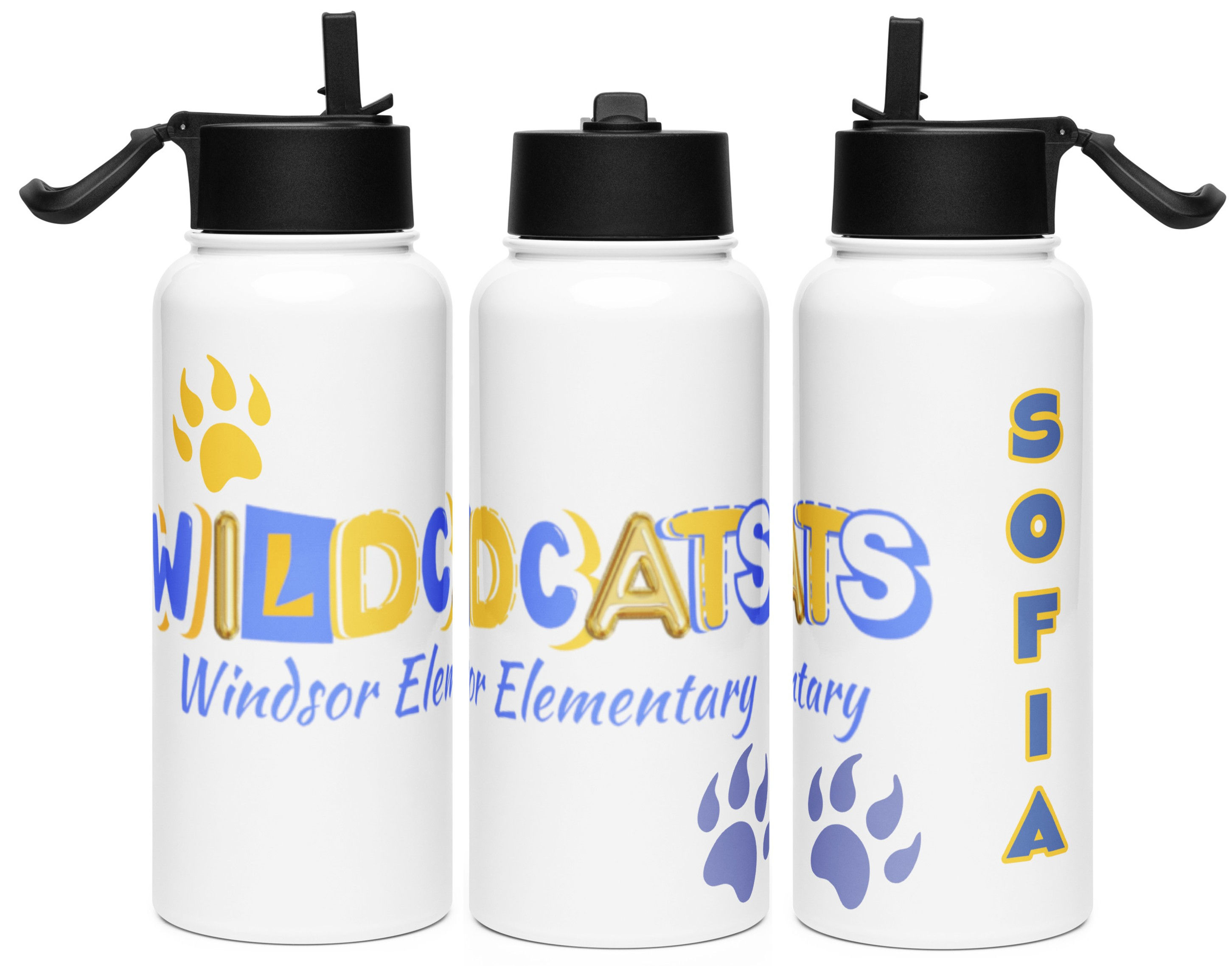 Windsor Elementary Stainless Steel Water Bottle w/Straw Lid