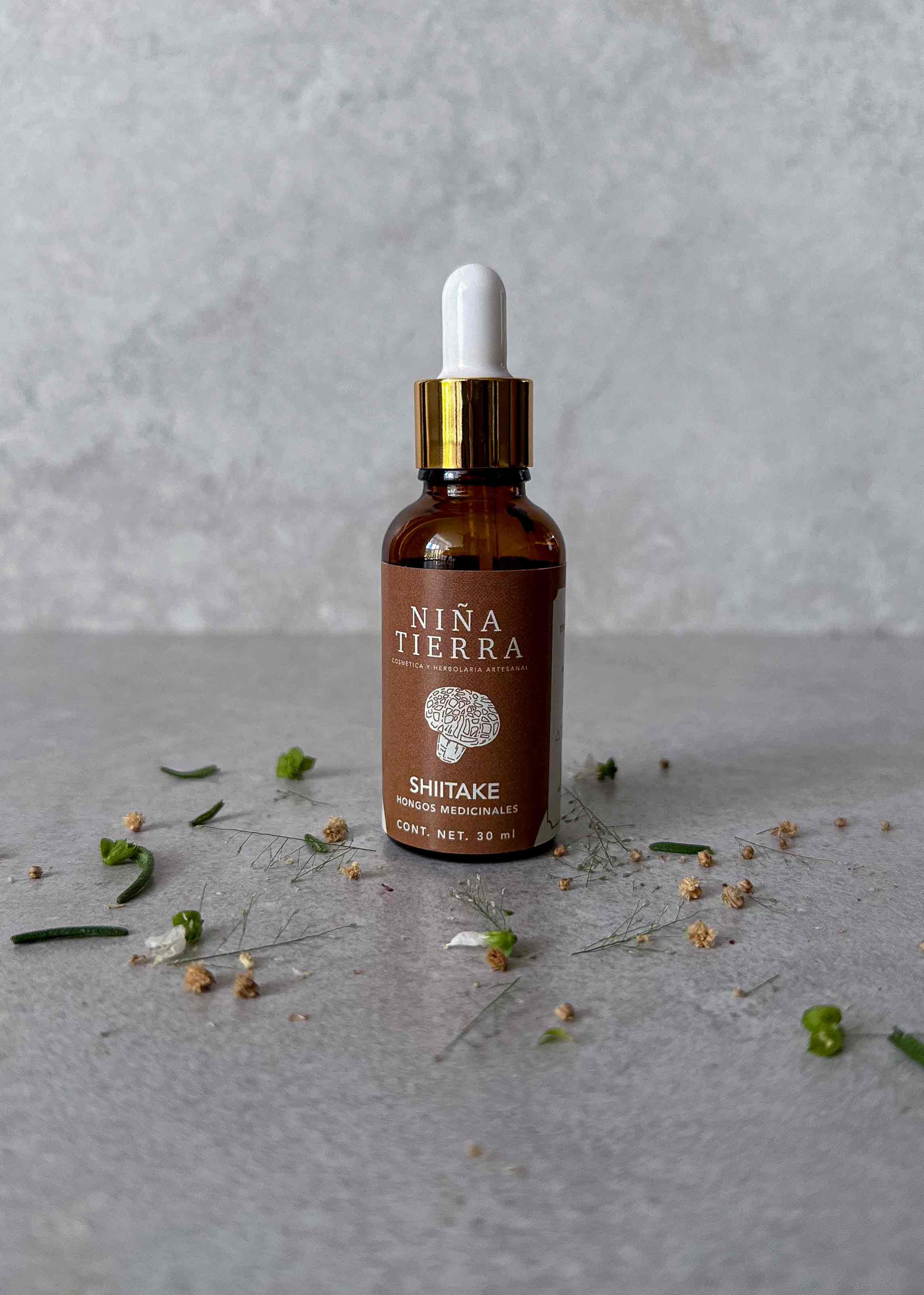 Hongo Variedad Shiitake