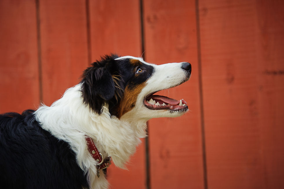 AdobeStock_209288343.jpeg