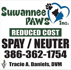 Spay / Neuter pets | Feral Cats | Low cost spay / neuter ...