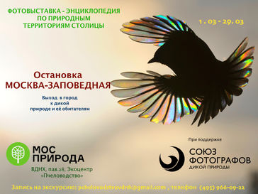 ОСТАНОВКА «МОСКВА-ЗАПОВЕДНАЯ»