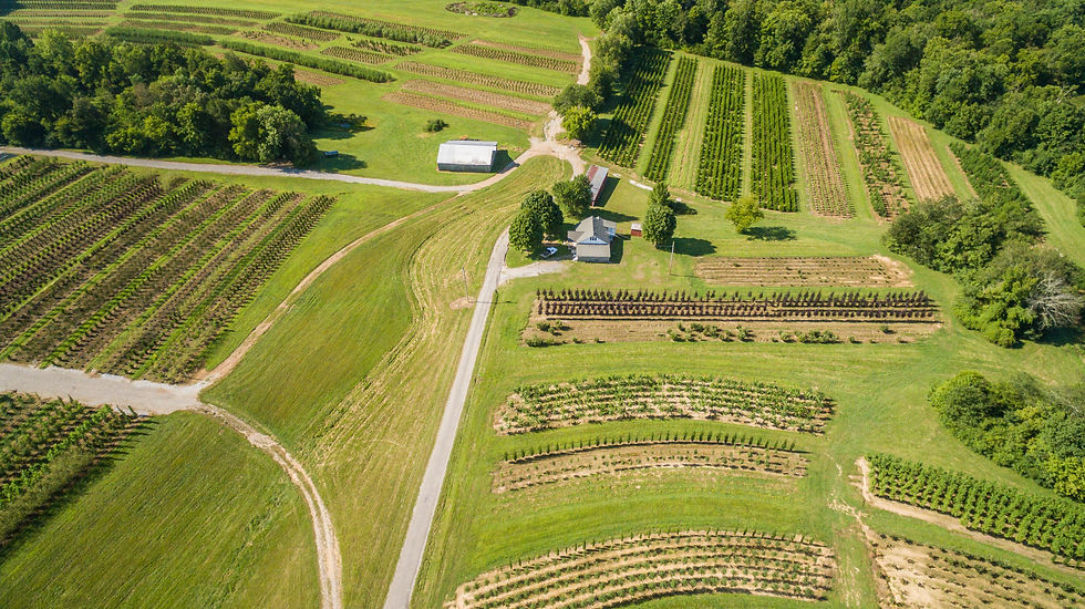 DJI_0013