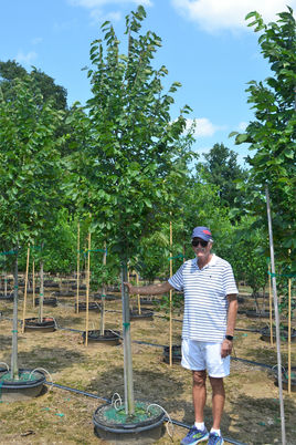 #30 Elm, Princeton.JPG