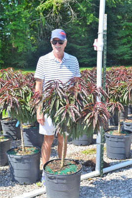 #10 Peach, Bonfire.JPG