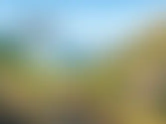 Spot Spraying by Drone on Tough Terrain