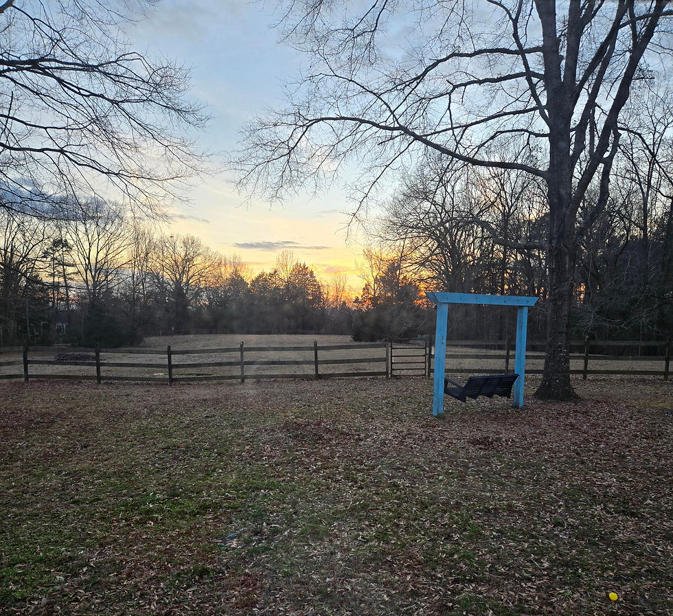 about-field-swing.jpg