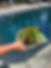 IMG_9545.jpeg