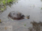 DSCN5717.JPG
