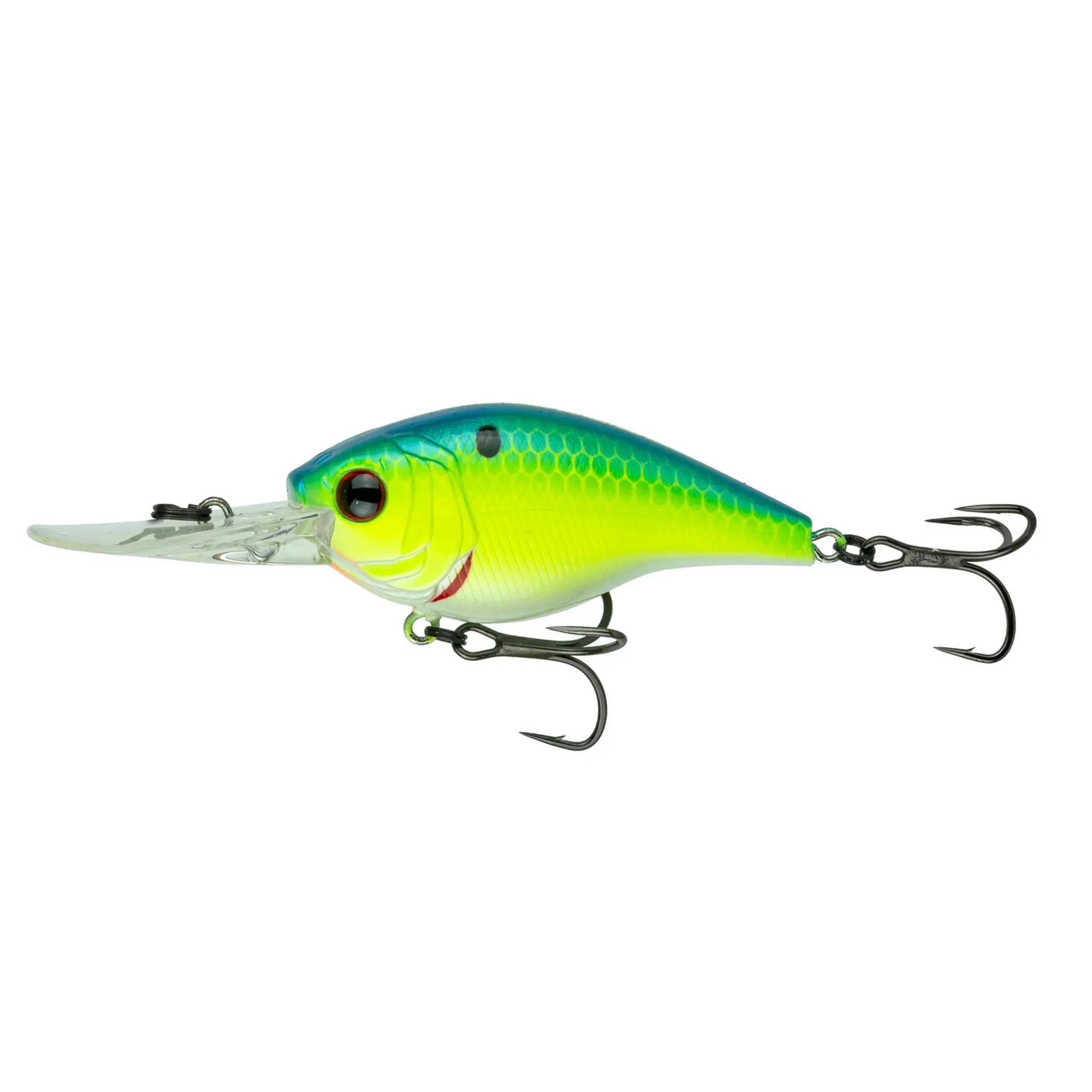 Cloud 9 - Blue-Treuse Shad C10
