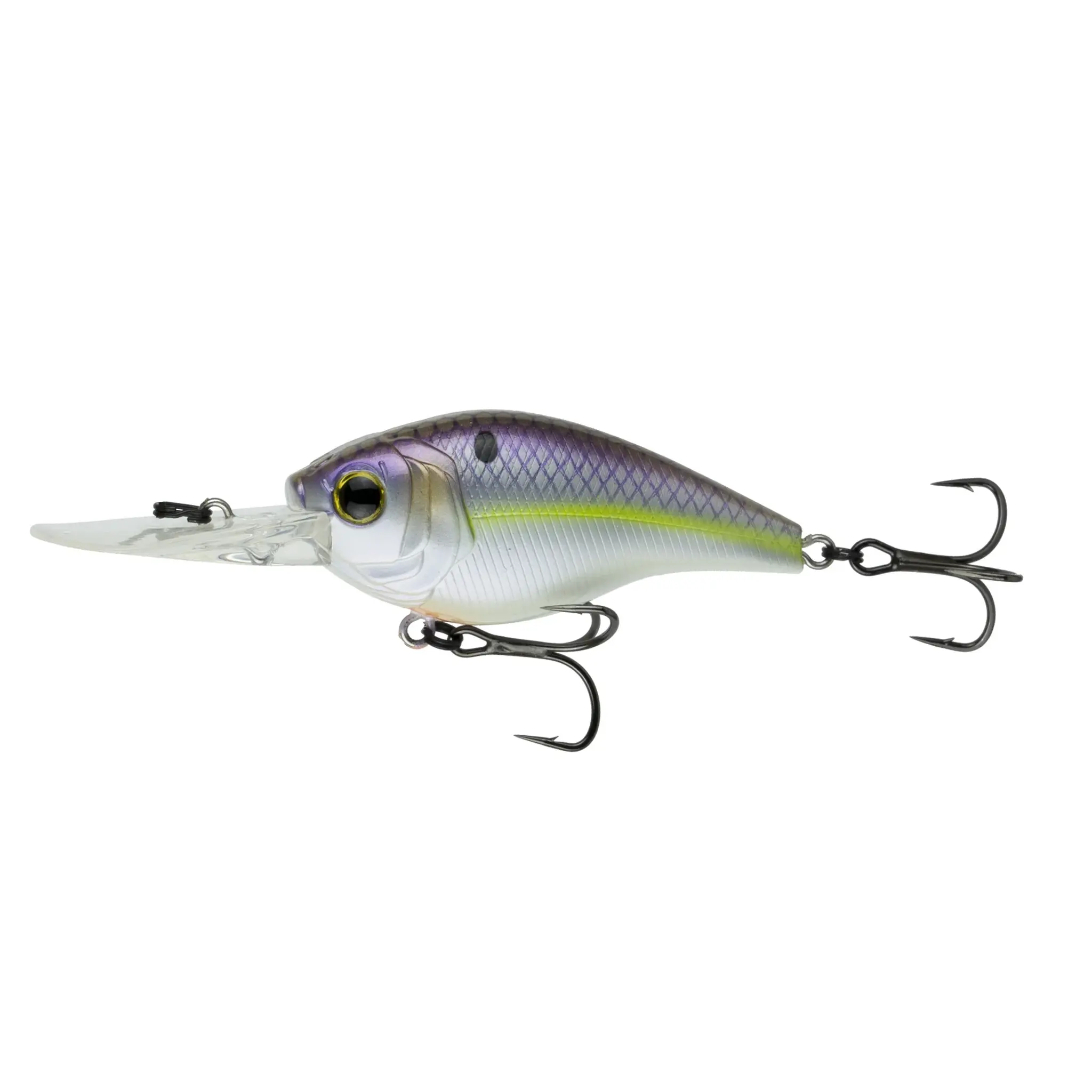 Cloud 9 - Wild Shad    C15