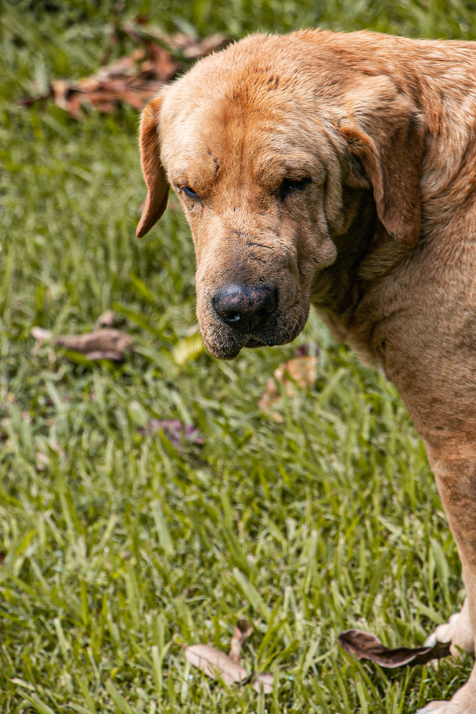 _MG_5936.jpg