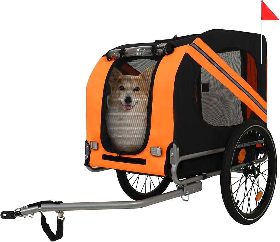 Large Dog Bike Trailer