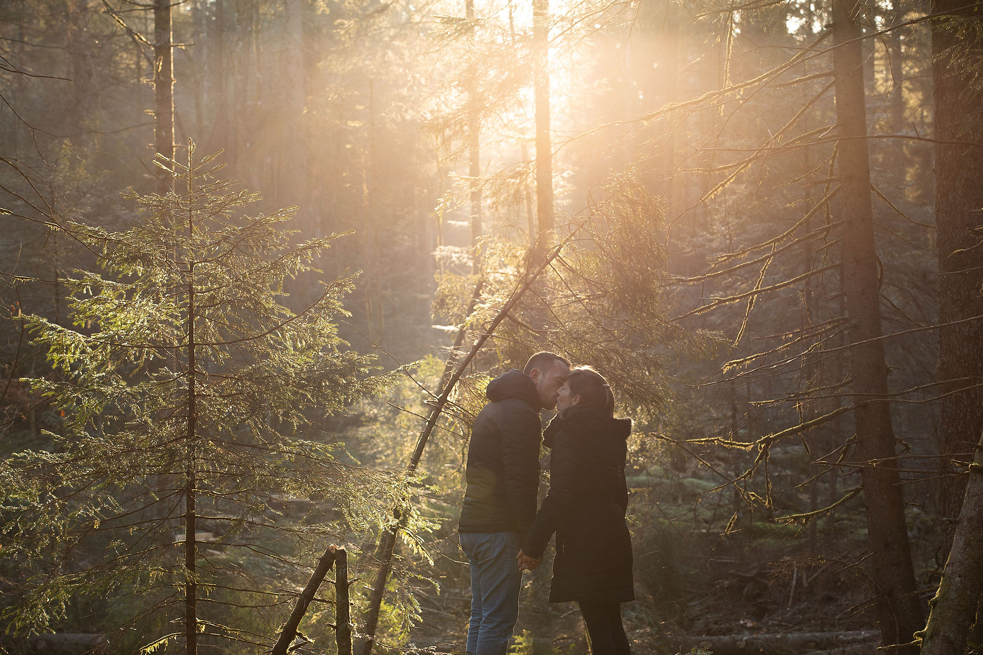 Séance photo dans les Vosges au lever du soleil dans la forêt. Superbe lumière et super couple. Julien Maria est photographe dans les Vosges depuis 10 ans.