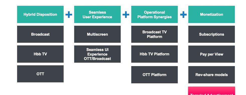 a hybrid tv platform