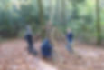10. und 11.8.2026 Sommerferien Waldtage