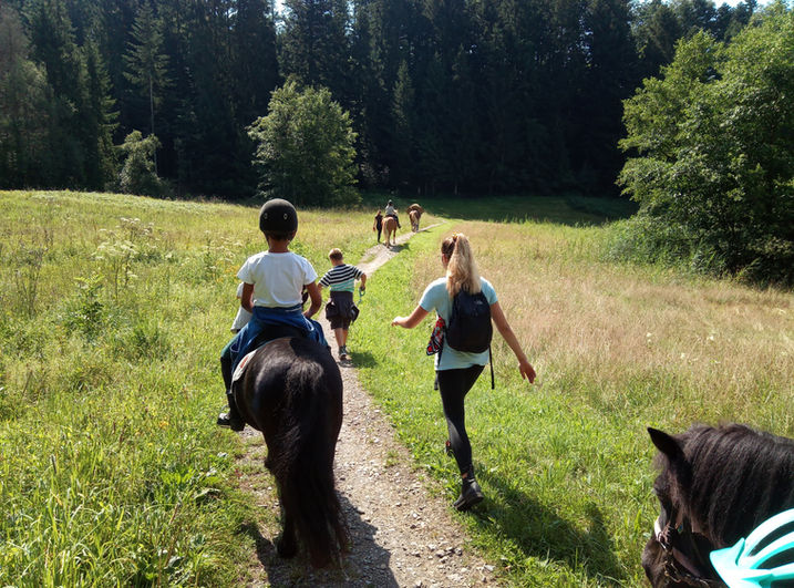 Erlebnishof_Neuheim_Hof-Kafi_Spielgruppe_Ponyschule_Reitlager_Luzern_Zug_Küssnacht.jpg