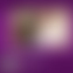 Maine Science Podcast – episode 15