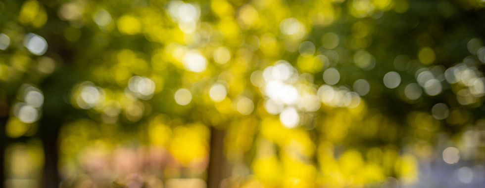 AdobeStock_385949453.jpeg