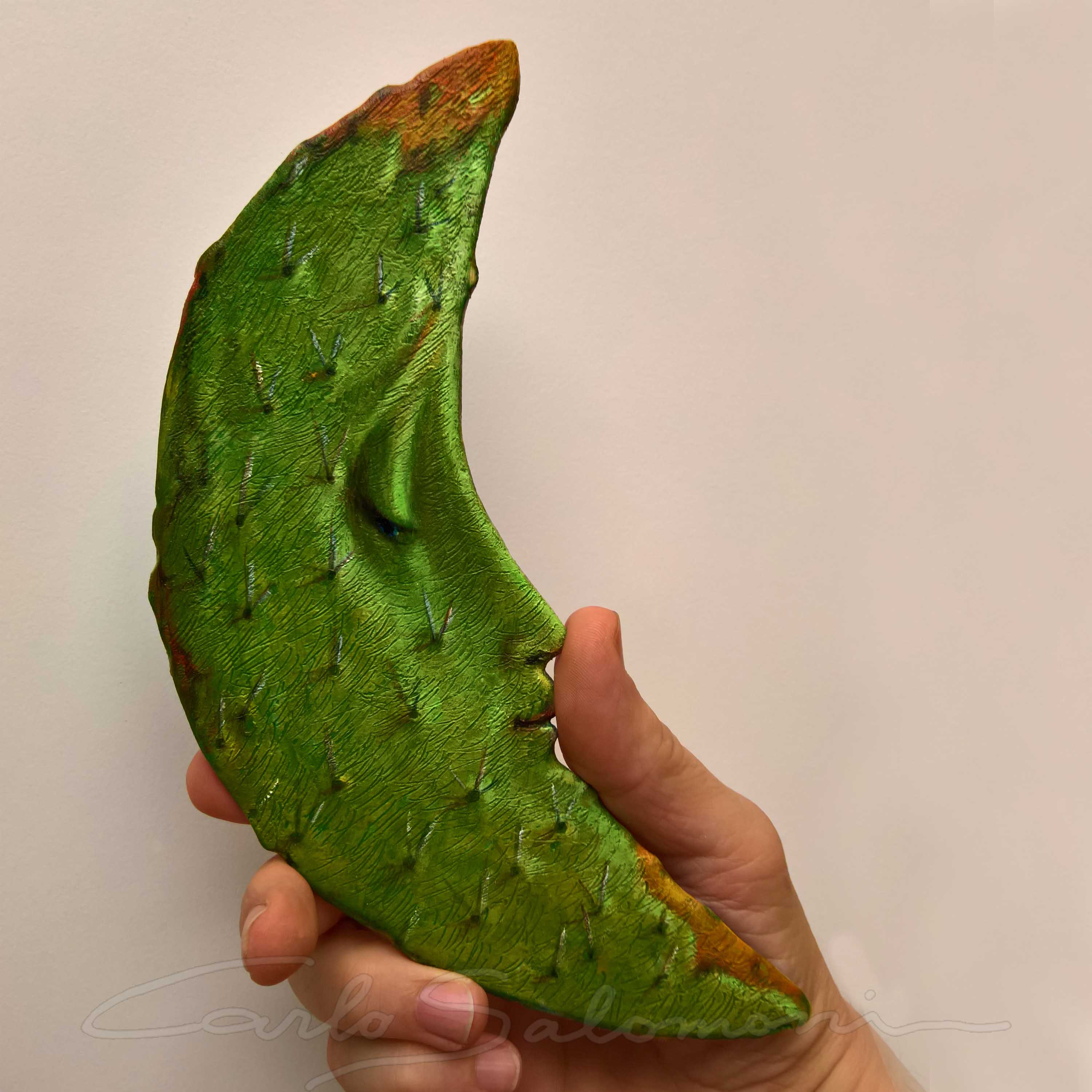 CACTUS MOONERANG -2017
