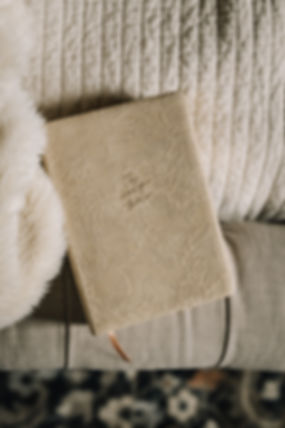 ESV Study Bible: Sonora Theme