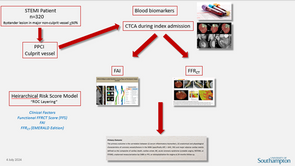 PICNIC - Anatomical, Physiological and Inflammatory Characterization of the
Non-Culprit Vessels in Patients Undergoing Primary PCI for ST-Elevation Myocardial Infarction in the Presence of Multivessel Disease
