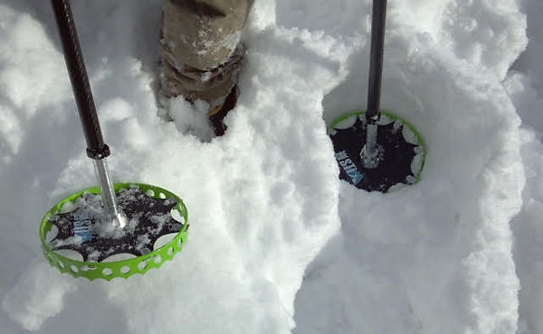 sidestix snowshoes.jpg