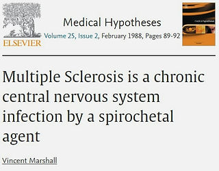 MS is a chronic CNS infection by a spirochetal agent