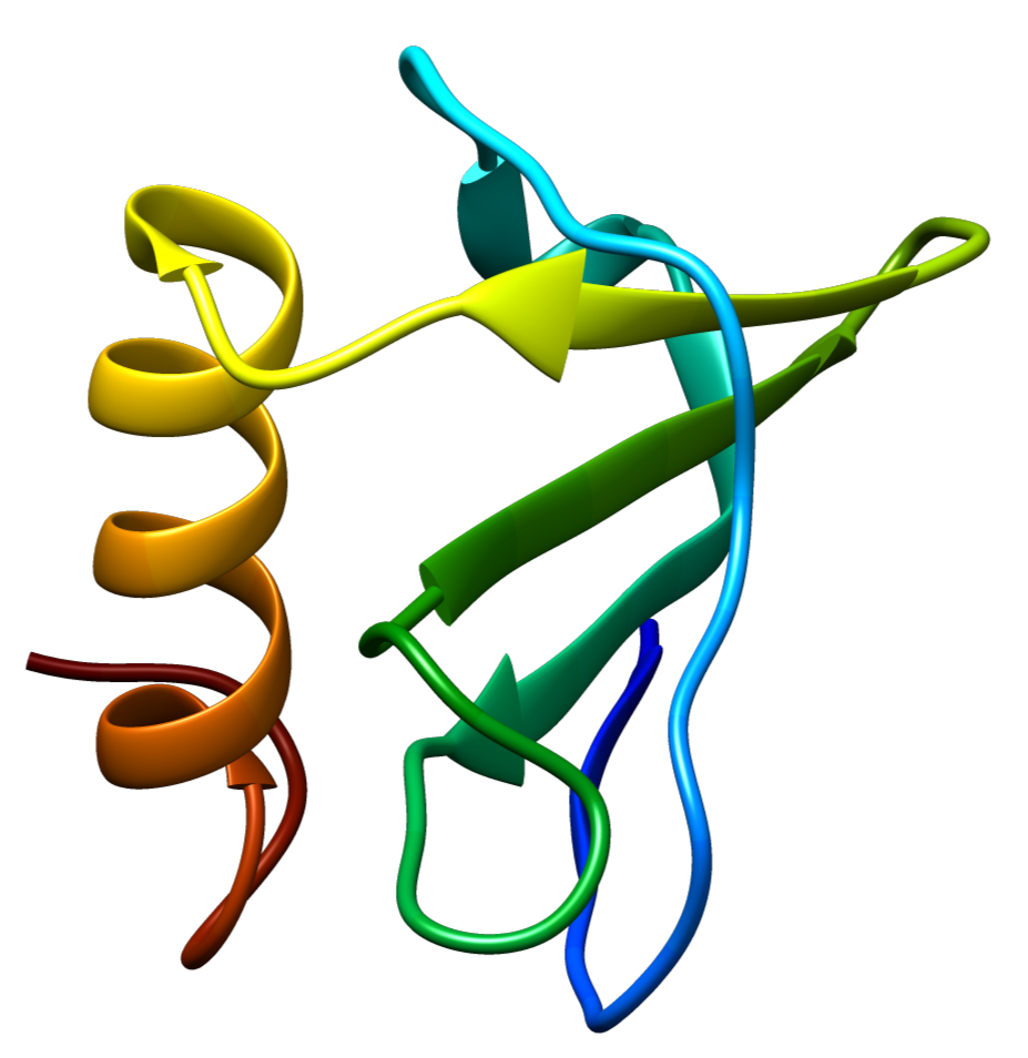 protein structure of chemokine ligand 13 (CXCL13)