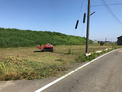 新潟　草刈り、新潟、草刈り、草刈り代行、greenfields、グリーンフィールズ、新潟県　草刈り代行