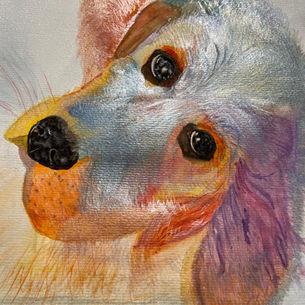 Charming watercolor portrait of a colorful dog with gentle eyes and soft brushstrokes, expressing warmth, curiosity and friendship by artist Karin Scheiba.