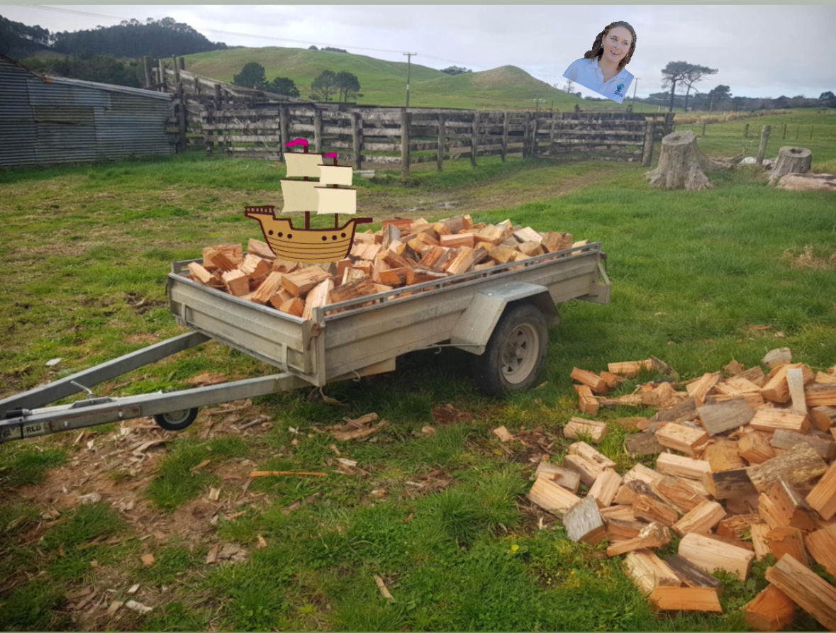 Malia’s Raffle -Win a load of firewood