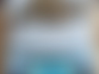 Por qué mezclar diferentes probióticos podría dañar su camaronera: Descubra la alternativa sinérgica e inteligente para obtener los mejores beneficios