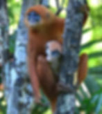 WhatsApp Image 2025-06-23 at 1.36.50 PM