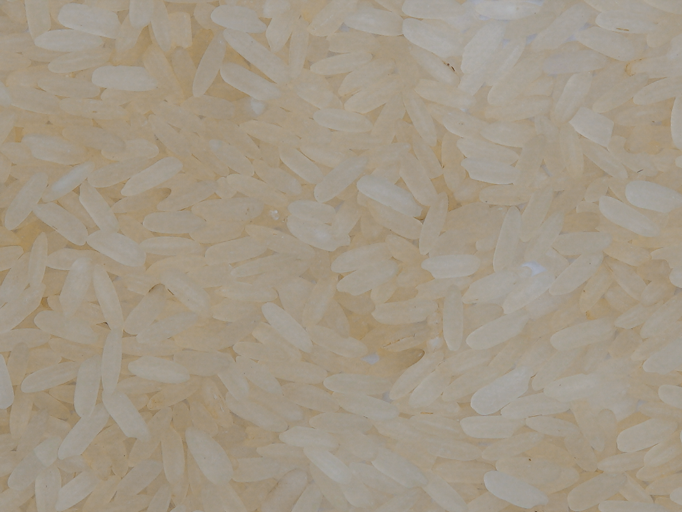 IR 64 creamy parboiled1 (1).png