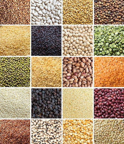Pulses and Grains.jpg