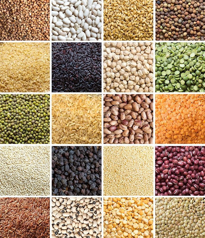 Pulses and Grains.jpg