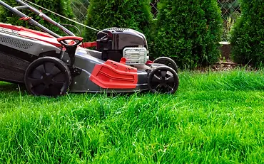 lawn-mower-trimming-grass.webp