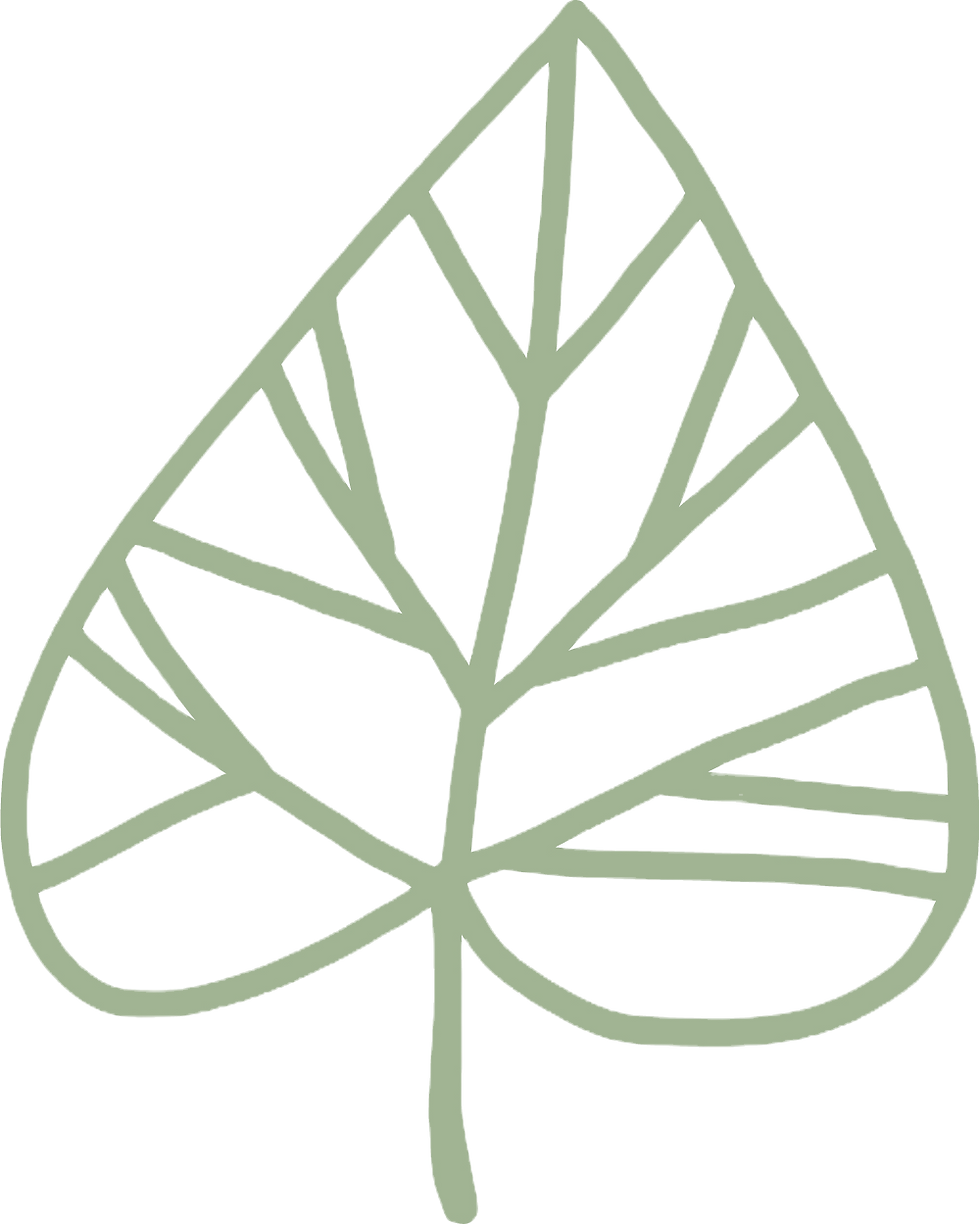 Lindenhof_Blatt_cmyk.jpg