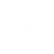 FIGRA (11)_edited.png