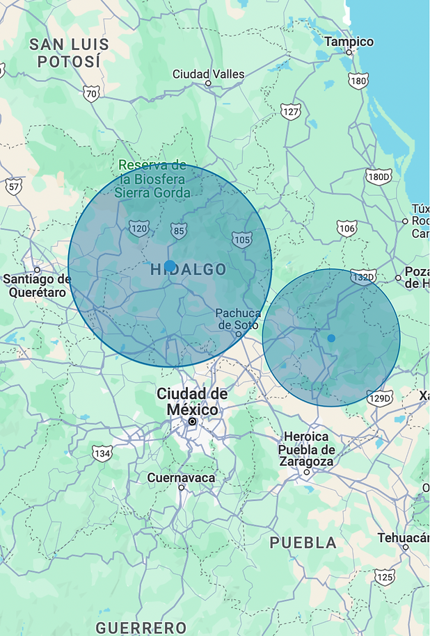 FIGRA (17).png
