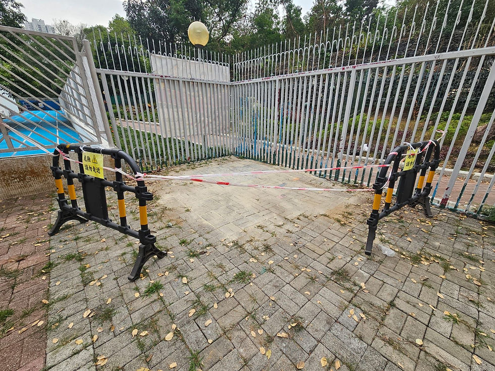 樹木工程-移除樹頭