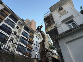 樹木工程-樹木移除