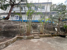 園藝保養-植物保養