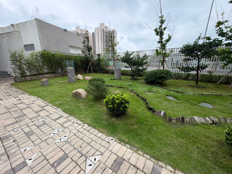 園藝保養-植物保養