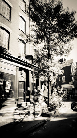 DSC01798-Bearbeitet-2