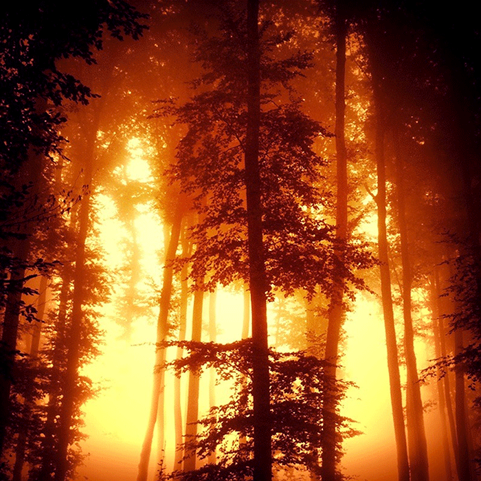 Lichtblick orange