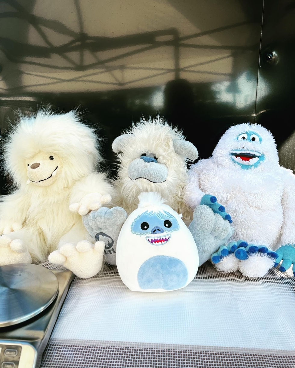 F1E8B9A1-D03A-4BCC-9436-313ED8315CC7